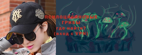 дживик Балахна