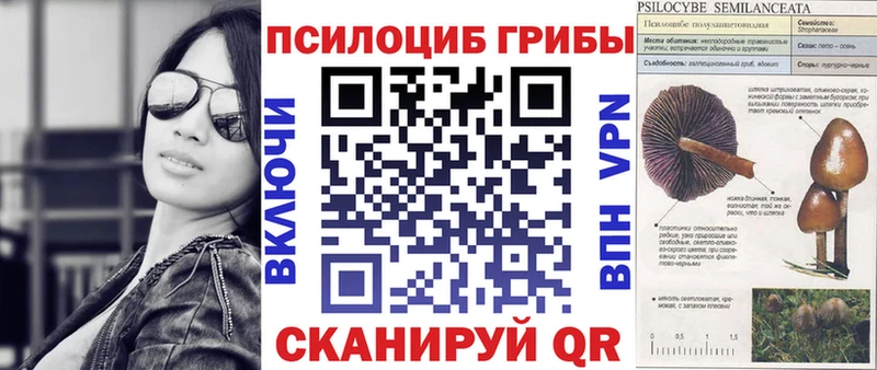 Псилоцибиновые грибы прущие грибы  Купить  Узловая 